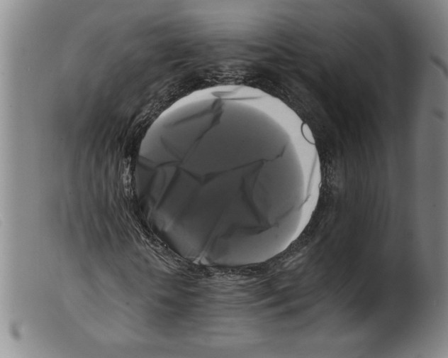 X0000098190818200805221515
