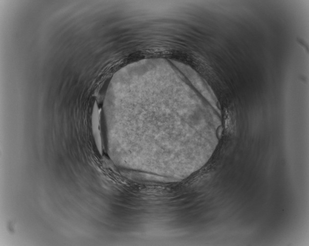 X0000098190819200805221515