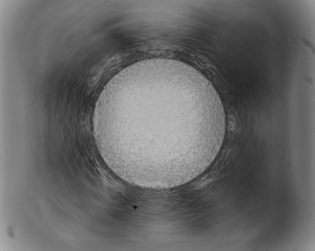 X0000098190820200805221515