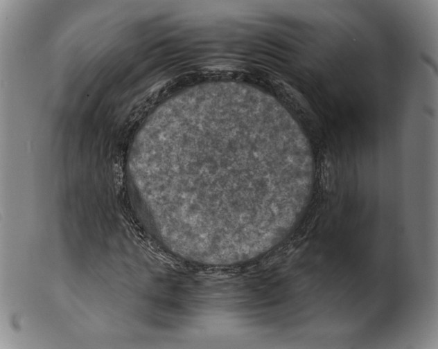 X0000098190821200805221515