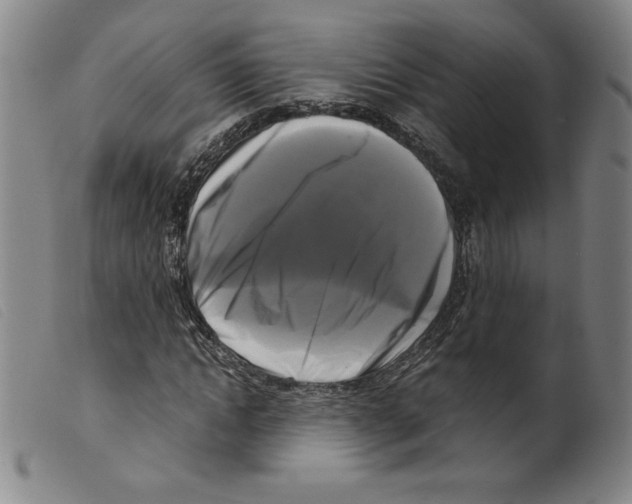 X0000098190822200805221515