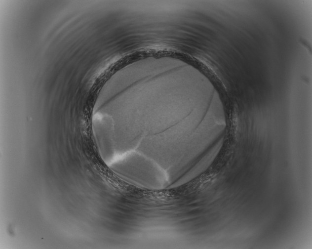 X0000098190823200805221515