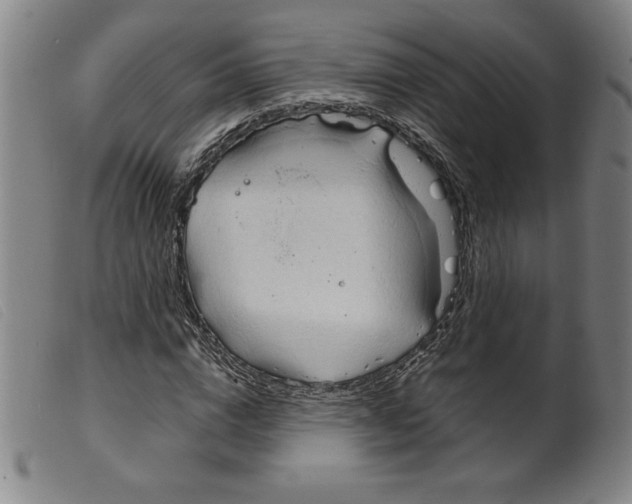 X0000098190824200805221515