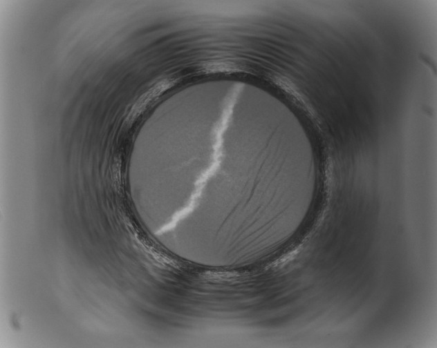 X0000098190825200805221515