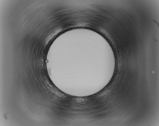 X0000098190827200805221515