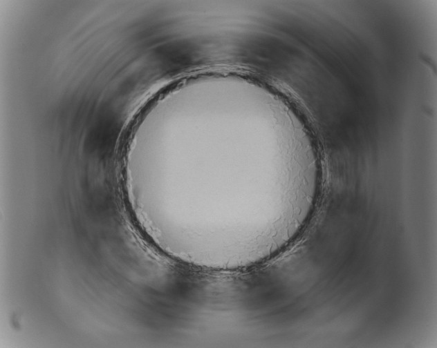 X0000098190828200805221515