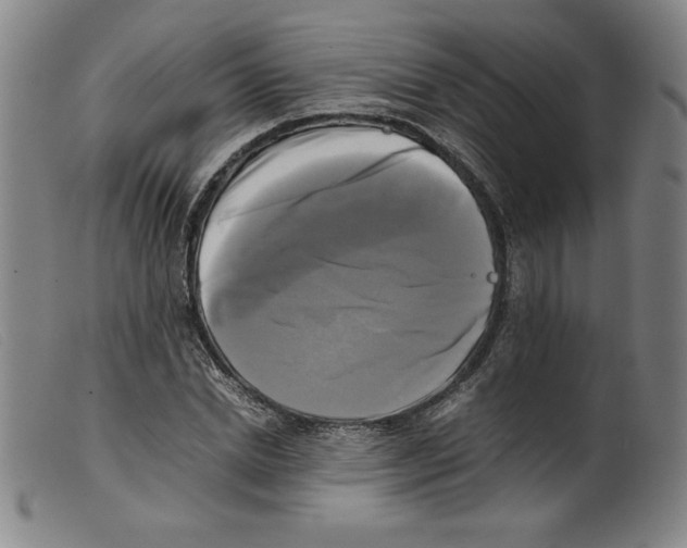 X0000098190830200805221515