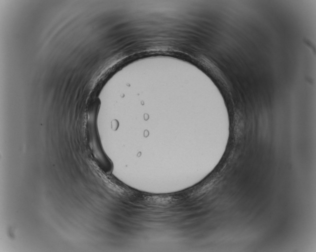 X0000098190831200805221515