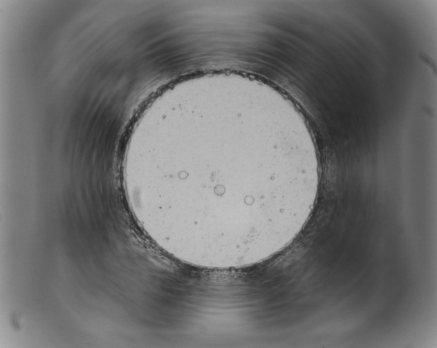 X0000098190832200805221515