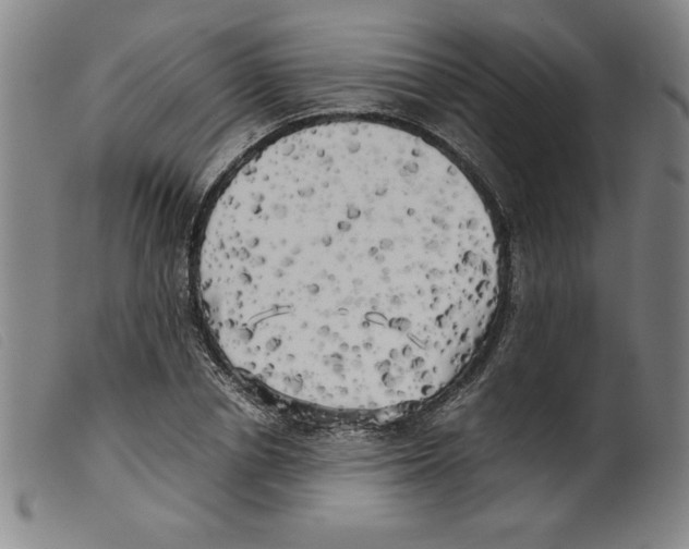 X0000098190834200805221515