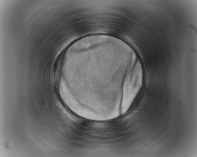 X0000098190835200805221515