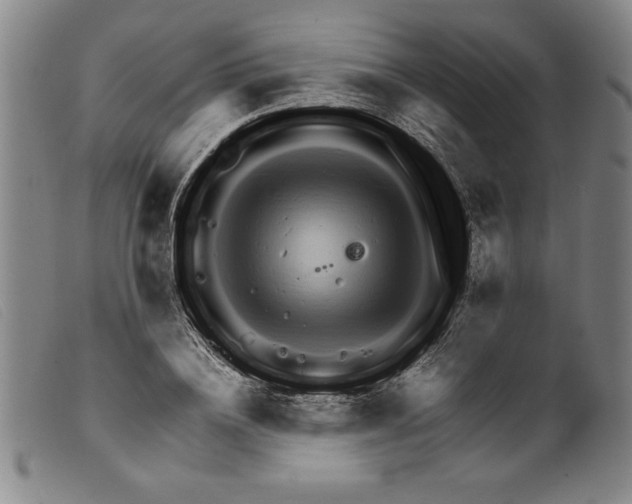 X0000098190836200805221515