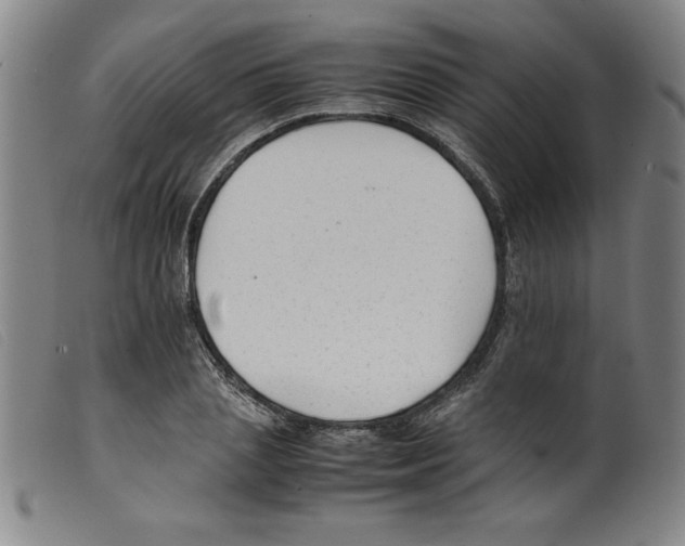 X0000098190837200805221515