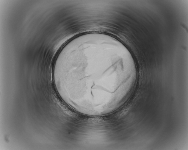 X0000098190838200805221515