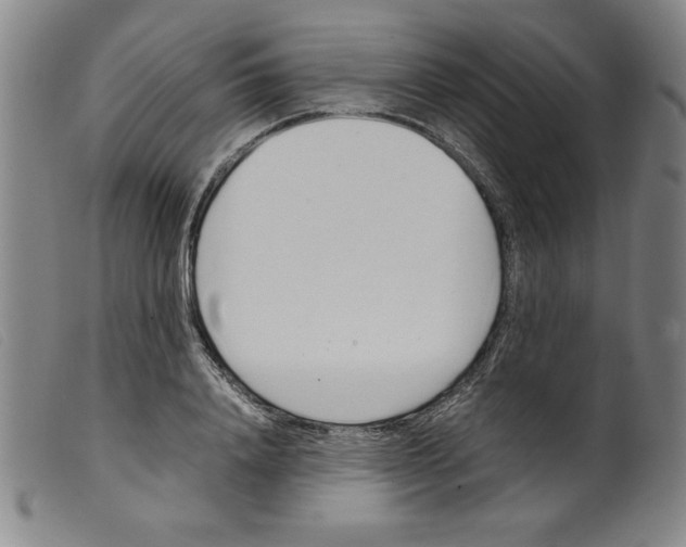 X0000098190840200805221515