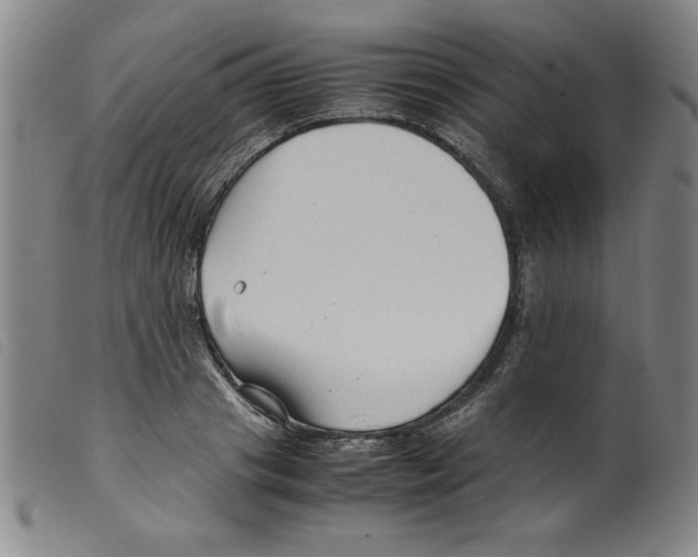 X0000098190841200805221515