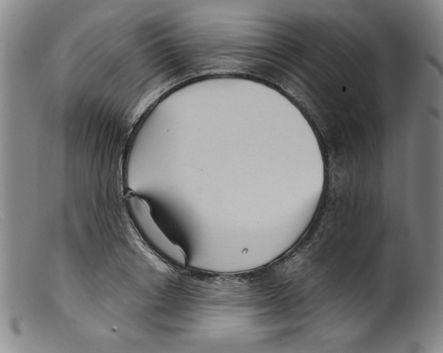 X0000098190842200805221515