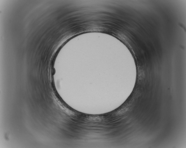 X0000098190843200805221515