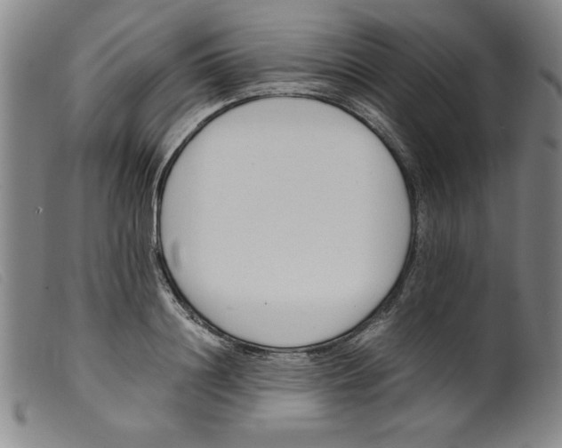 X0000098190844200805221515