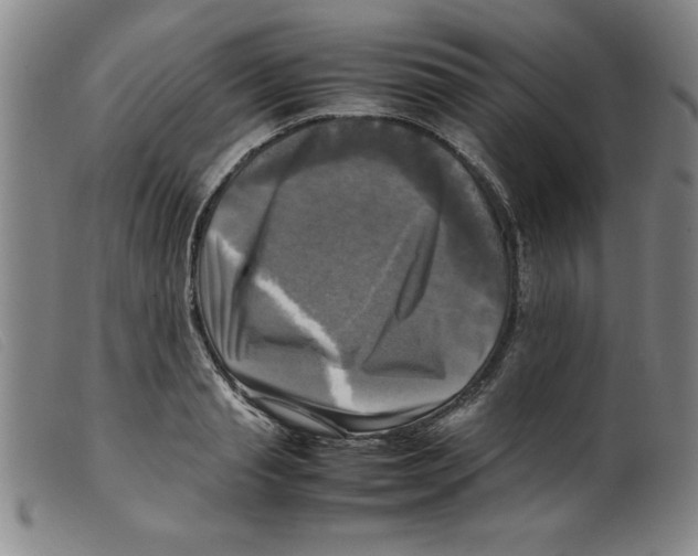 X0000098190845200805221515