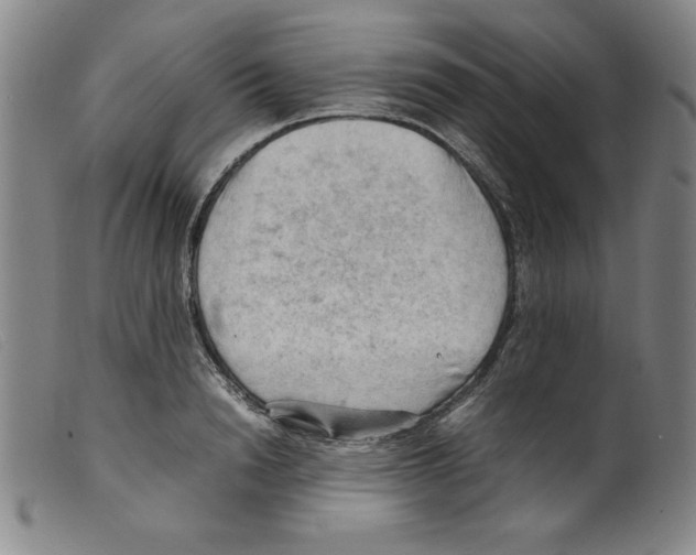 X0000098190846200805221515