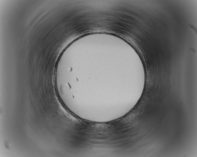 X0000098190847200805221515
