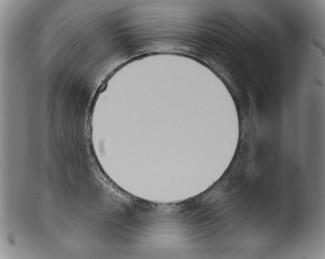 X0000098190848200805221515