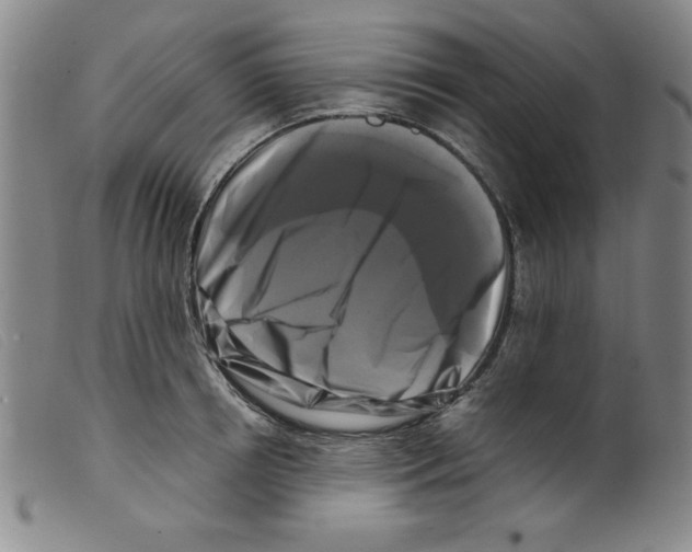 X0000098190850200805221515