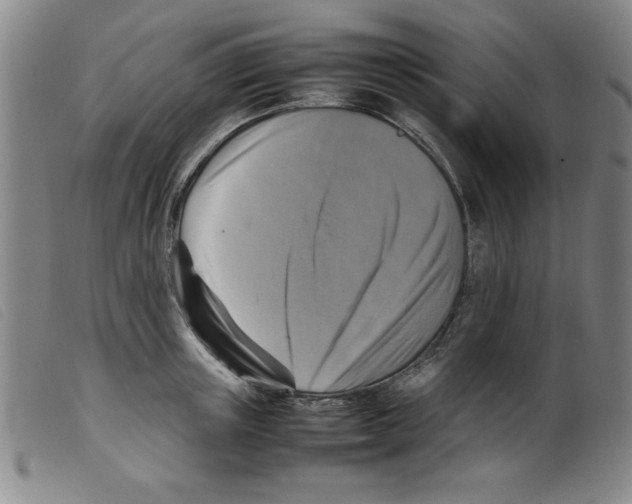 X0000098190851200805221515