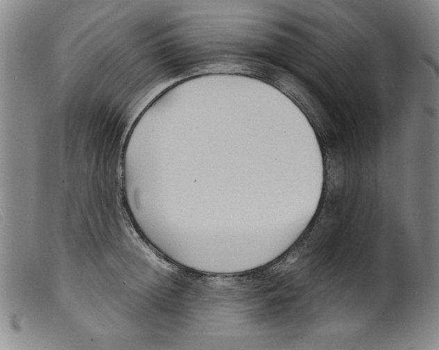 X0000098190852200805221515
