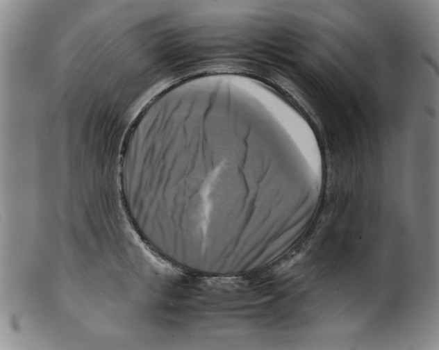 X0000098190853200805221515