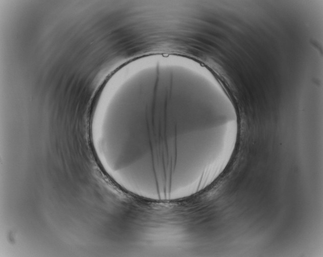 X0000098190854200805221515