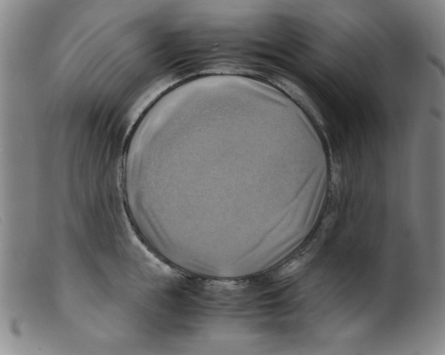 X0000098190855200805221515