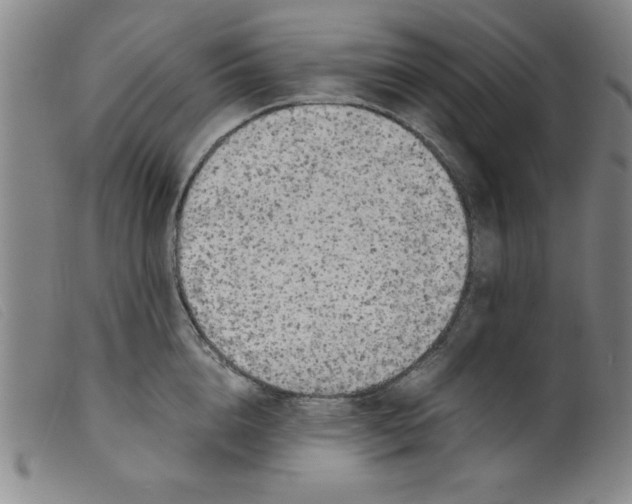 X0000098190856200805221515