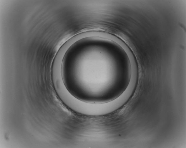 X0000098190858200805221516