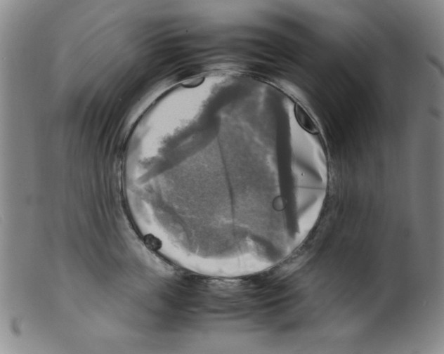 X0000098190859200805221516