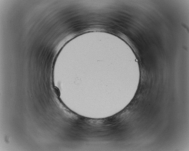 X0000098190861200805221516