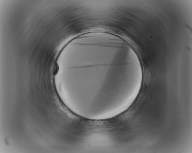 X0000098190862200805221516