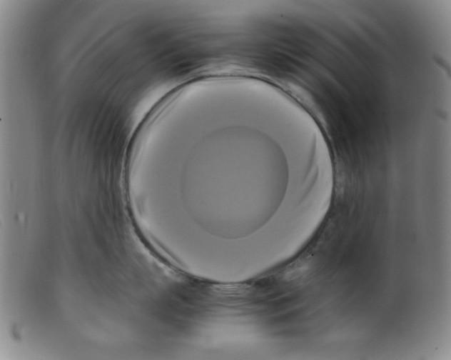 X0000098190863200805221516