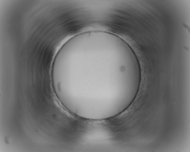 X0000098190864200805221516