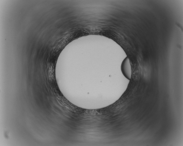 X0000098190866200805221515