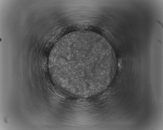 X0000098190867200805221515
