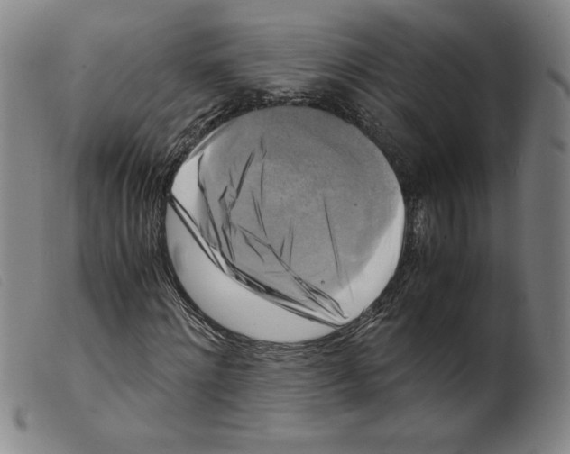 X0000098190868200805221515