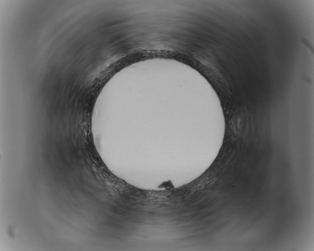 X0000098190870200805221515