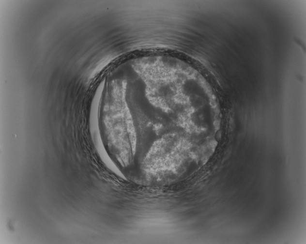 X0000098190871200805221515