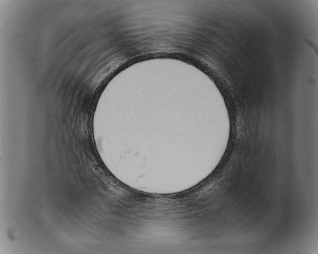 X0000098190873200805221515