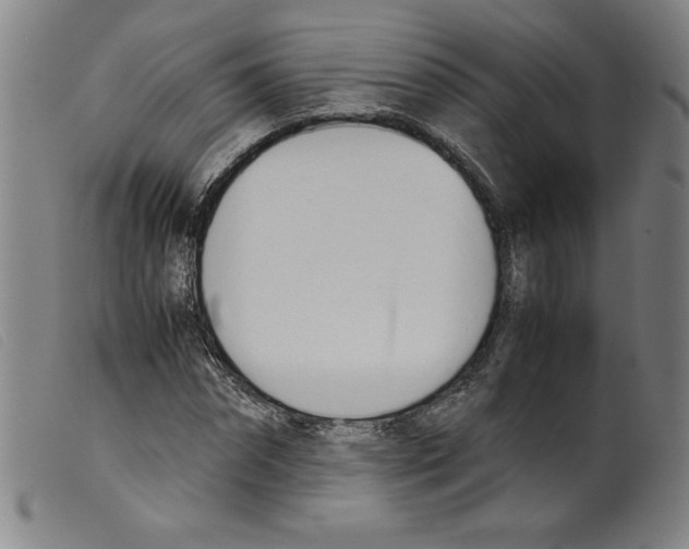 X0000098190874200805221515