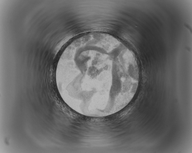 X0000098190875200805221515
