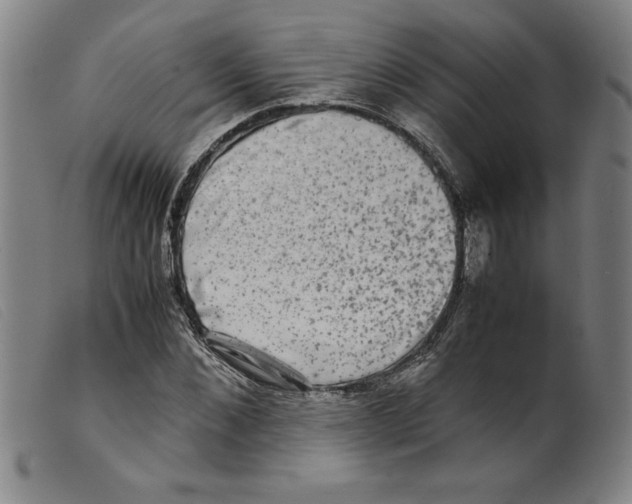 X0000098190876200805221515