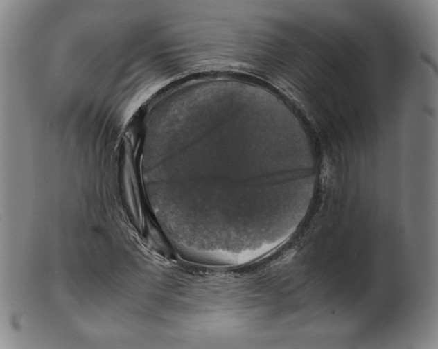 X0000098190877200805221515